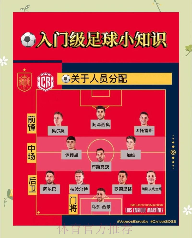 2026世界杯投注入门指南：新手必备的基础技巧